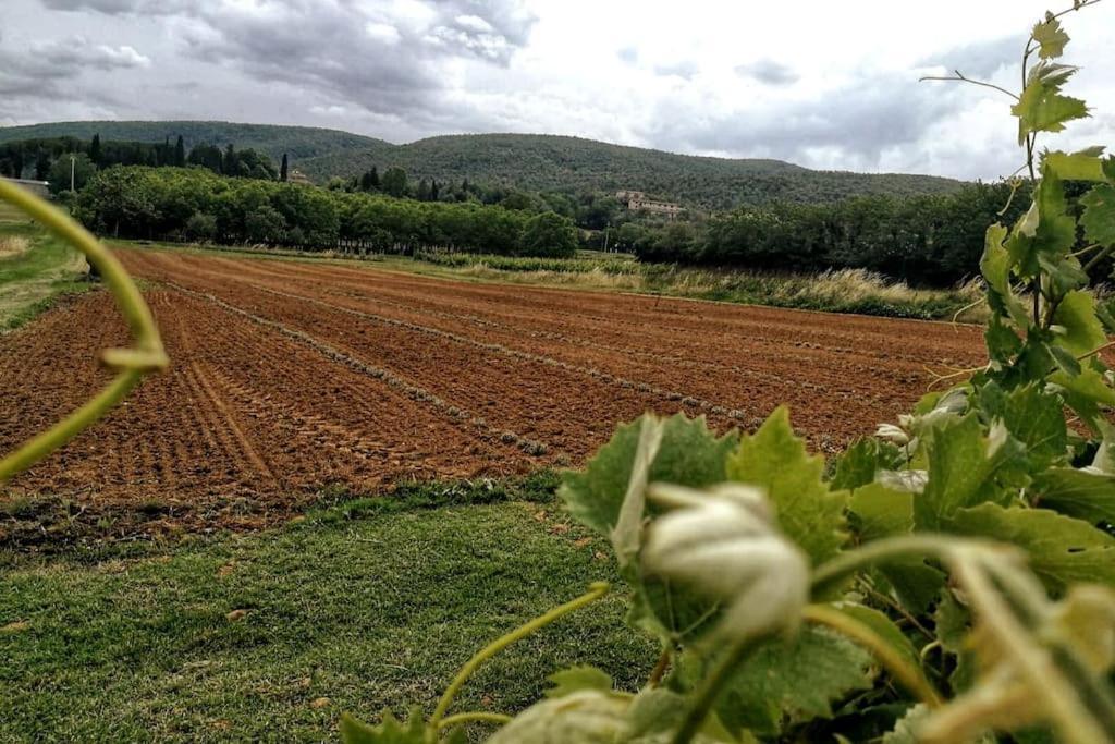 Claudia Vacanza Toscana - Appartamento Melograno -10 Min Da Siena Sovicille Dış mekan fotoğraf