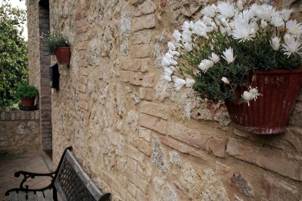 Claudia Vacanza Toscana - Appartamento Melograno -10 Min Da Siena Sovicille Dış mekan fotoğraf